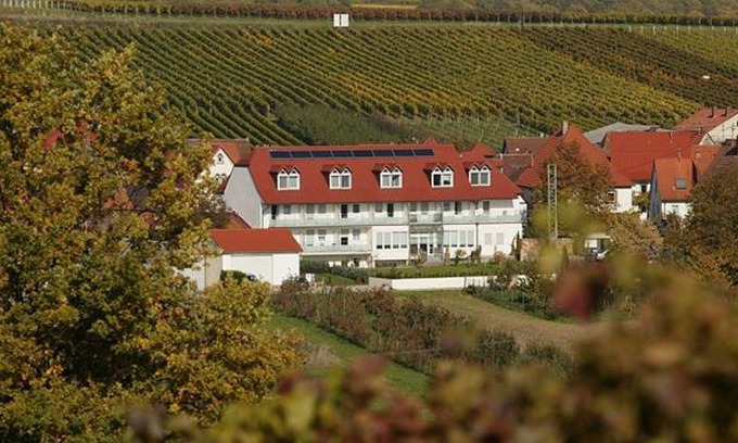 Pleisweiler-Oberhofen House | Single room shower / WC Cat 2 (without balcony) - Landhotel Hauer