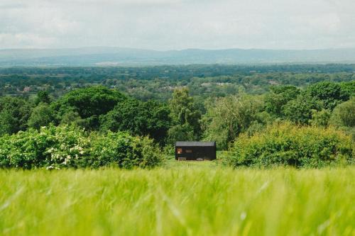 Cheshire West and Chester House | Sirius