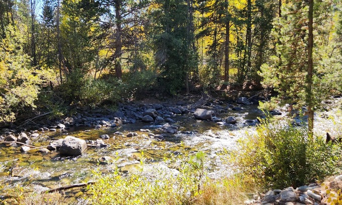Frisco Villa | Ski, Hike, creek and steps from main st , bus to breck or copper 2 blocks away.