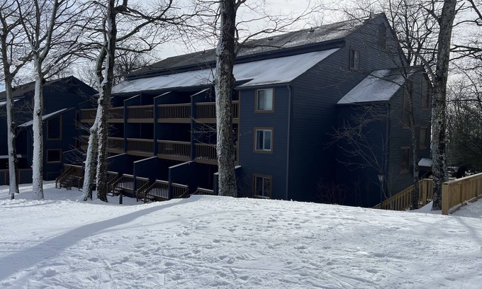 Wintergreen Condo | Ski-In/Ski-Out Comfy Condo
