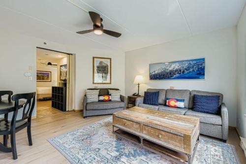 Peak 9 Apartment | Ski In Ski Out Dog Friendly Studio Building 4