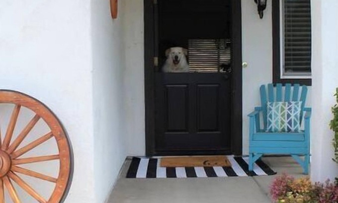 Fallbrook Cottage | Sleeps 4. Private casita in the country.