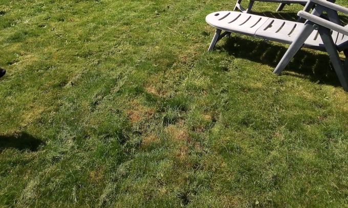 Le Housseau-Bretignolles Cottage | Small holiday cottage, 2/4 people, in the heart of the Mayenne countryside