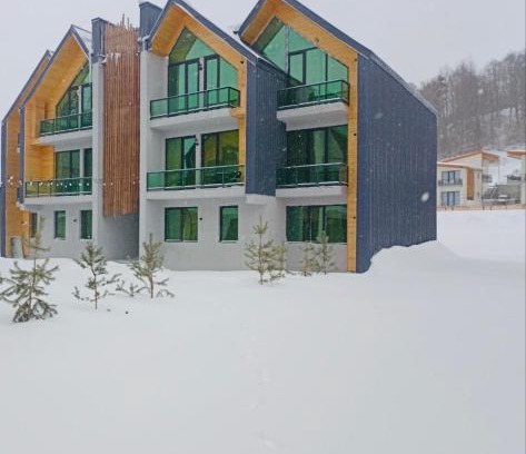 Bakuriani Apartment | snow forest bakuriani apartment eight