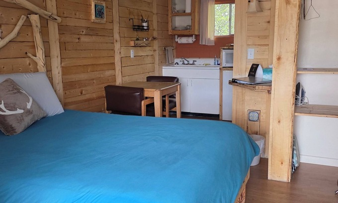Cedaredge Cabin | Snuggle In with Your Pet in True Colorado Style Room with Queen bed/Kitchenette