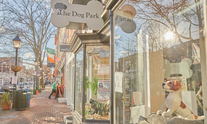 Old Town Alexandria Apartment | Sonder The Grace | One-Bedroom Apartment