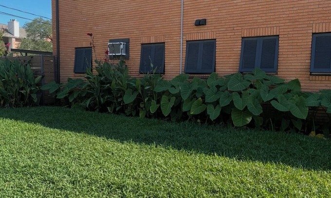 Greenway Plaza-Upper Kirby Apartment | Soothing apartment with AC in vibrant Houston