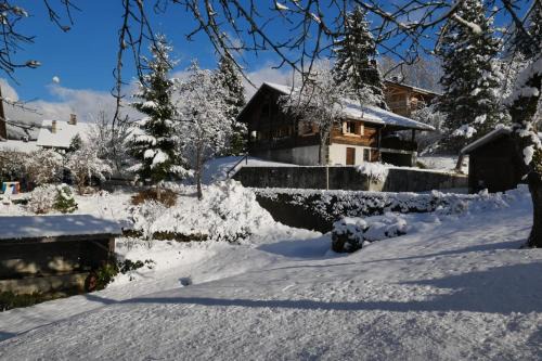Les Villards-sur-Thones Ski Chalet | Sous les Ecotagnes