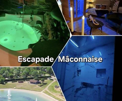 Macon Apartment | Spa-Sauna-Ciel de pluie tropicale-Champagne Nuit Romantique - Escapade Mâconnaise
