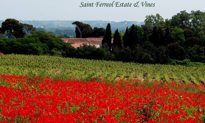 Nizas Villa | Spacious 3 bedroom vineyard villa, air conditioned, Domaine Saint Ferreol