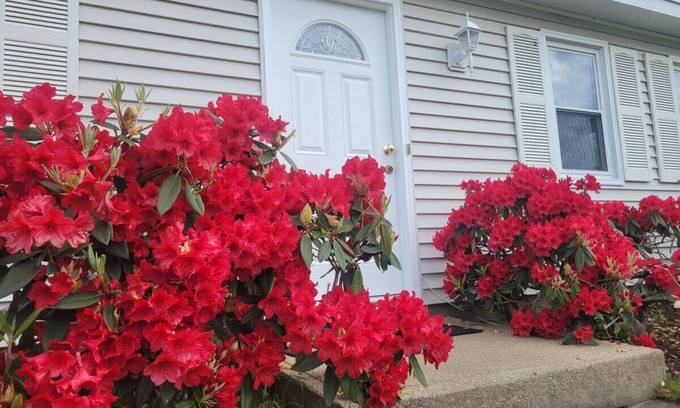 Eastward Look House | Spacious 5BR Beach House Vacation-walk to Scarborough!