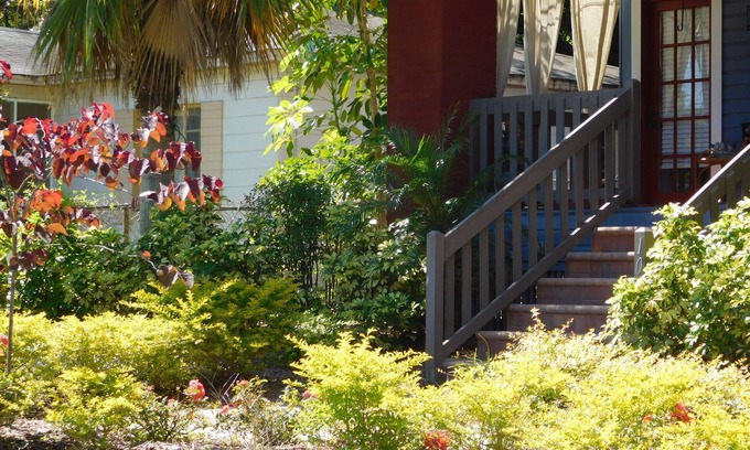 Old Seminole Heights Apartment | Spacious & Centrally Located; Busch Gardens Ybor Medical USF Sports Conventions