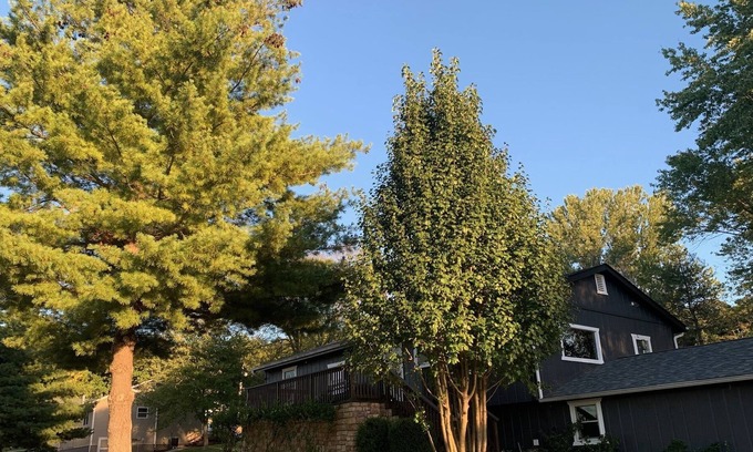 Camdenton House | Spacious Home near Golf Courses, Ballparks National, and Lake of the Ozarks!