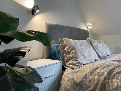Tamworth House | Spacious Private Room - Small Animals Welcomed