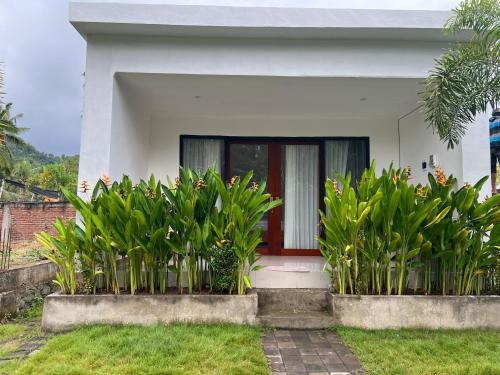 Kuta House | Specious living space- garden kuta
