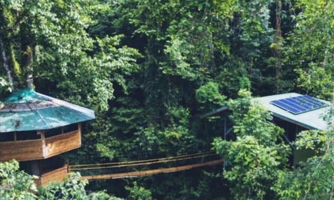 Piedras Blancas House | SpectacularJungle Canopy Treehouse