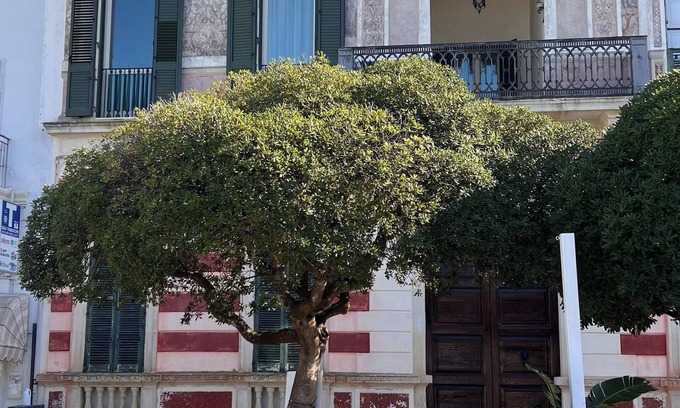 Santa Maria al Bagno House | Splendida Casa sul Mare, in Pieno Centro