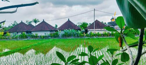 Pejeng Kawan House | Srijaya Ubud by SHM