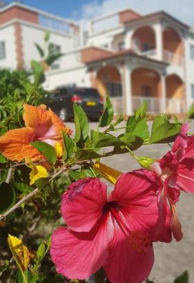 St. George's Apartment | St. George's Holiday Studio Vacation of a lifetime