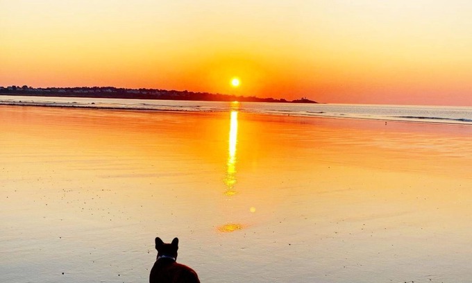 York Beach House | Steps from Longsands! Dog-Friendly, Family Beach House With Oceanfront Views!
