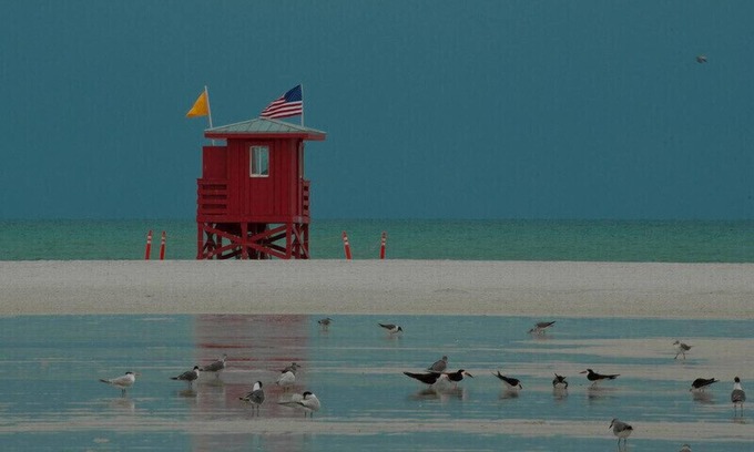 Siesta Key Condo | Steps to 2025 #1 Rated Beach in USA Fun-n-Sun Modern 2+2 Condo Pool Pickleball