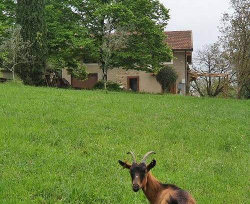 Serravalle Pistoiese Apartment | Stirpe nel Bosco - Fiocco