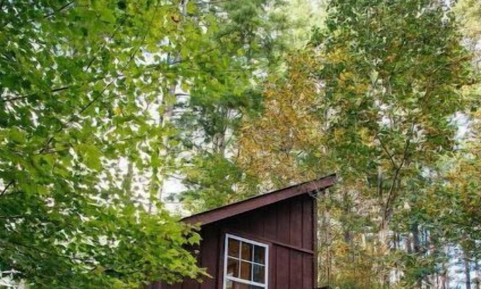 Mills River Cabin | Storybrooke Cabin- Pond, Outdoor Fireplace, Trails