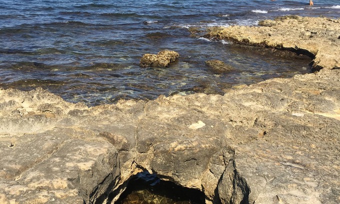 Giovinazzo Villa | Studio apartment, near Fiera and Airport, access to the swimming pool and tennis court