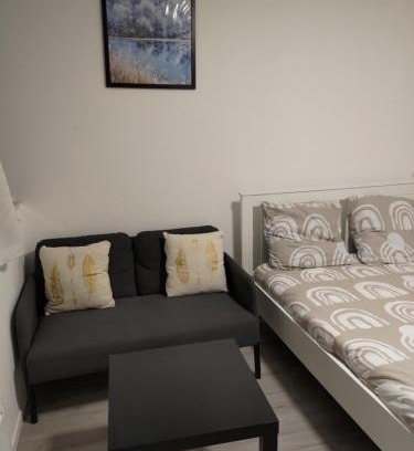 Part Dieu - Bir Hakeim Apartment | Studio au centre de la Part Dieu