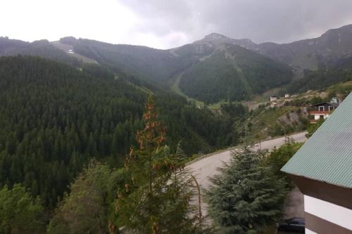 Saint-Etienne-de-Tinee Apartment | Studio Constellations d'Auron