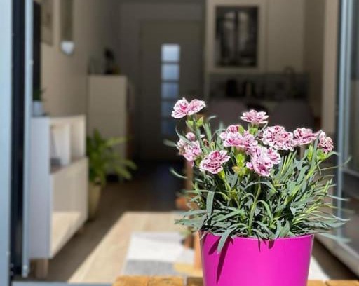 Porchefontaine Apartment | Studio Cosy Fleur de Lys