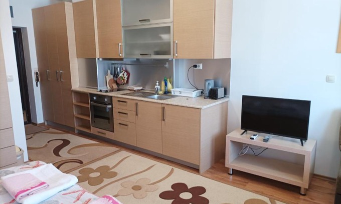 Shiligarnika Apartment | Studio Detelina Residence