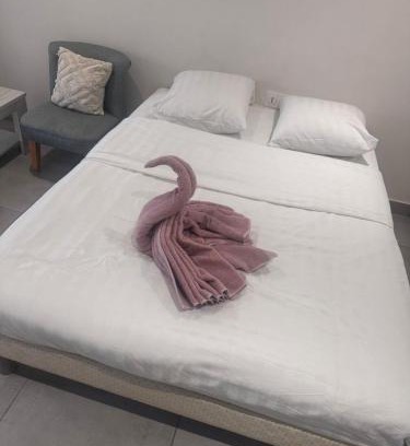 Montceau-les-Mines Apartment | Studio en centre ville