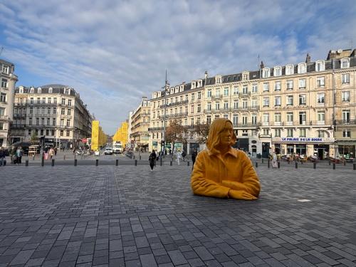 Lille Centre Ville House | Studio en face de la Gare Lille Flandres
