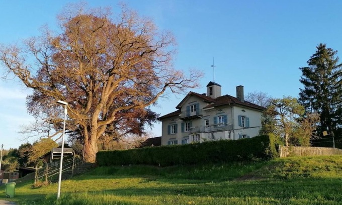 Bottighofen Apartment | Studio holiday flat - 38 m2- with garden use