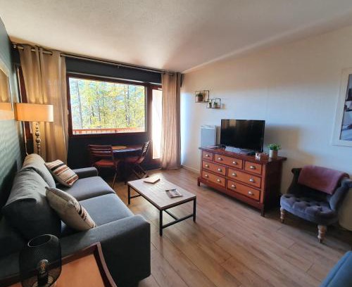 Valberg Apartment | Studio Hyper centre Valberg