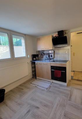 Saint-Cyr-en-Val Apartment | Studio indépendant tout équipé chez l'habitant