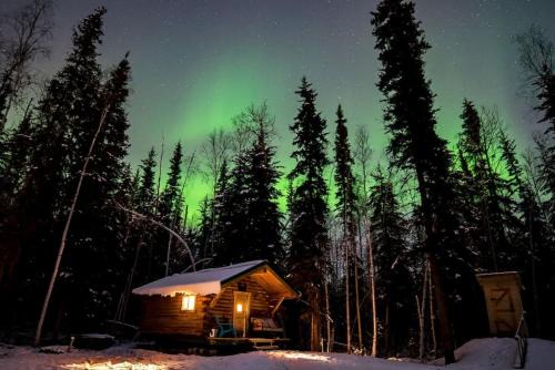 Fairbanks House | Studio Log DRY Cabin| Aurora Views!