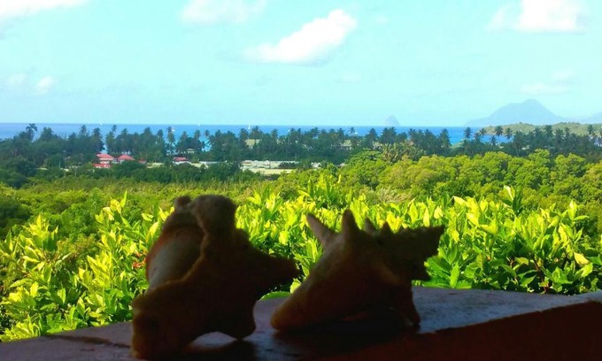 Sainte-Anne Apartment | Studios Carribean Sea View