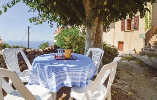 Calcatoggio Apartment | Stunning Apartment In Calcatoggio