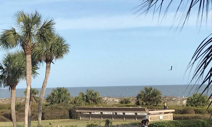 Hilton Head Island Condo | Stunning Oceanview Luxury Remodel, Bikes Included!