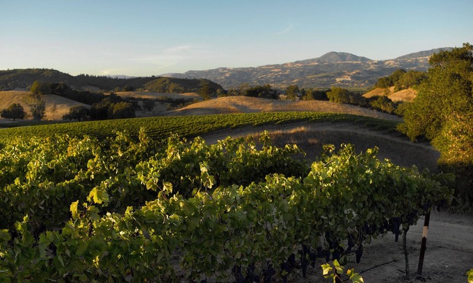 Healdsburg House | Stunning Sonoma 3BR, 3BA house w/view, lap pool, hot tub, Tesla chgr, Healdsburg