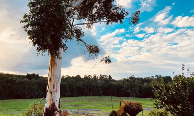 Nannup Other | Stylish property in beautiful setting