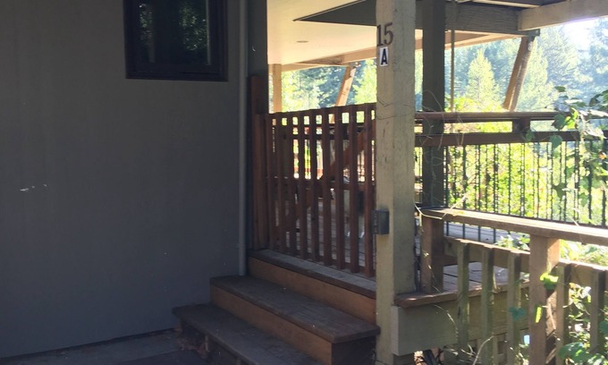 Mill Valley Apartment | Sun Drenched pool, Private, Peaceful Home, Nestled at the Base of Mt. Tam