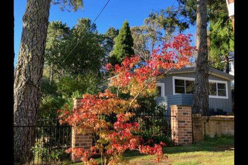 Wentworth Falls House | Sunflower House, a cozy cabin at Lake Wentworth