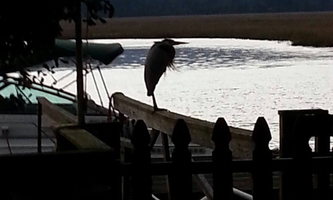 Seabrook House | Sunmist Cottage, Beautiful View, Private Deep Water Dock, Your Own Quiet Getaway