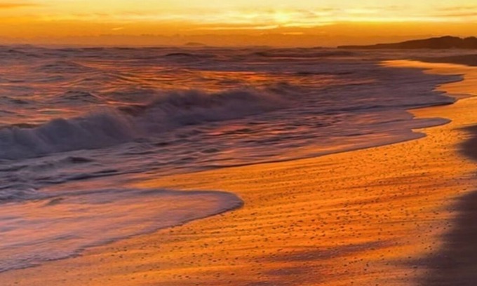 Laie House | Sunrise Escape in Kahuku: Two-min drive to beaches