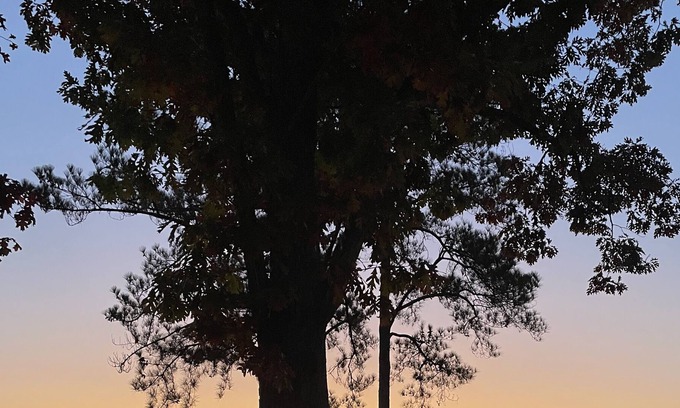 Leesburg House | Sunrise views on Weiss Lake