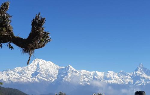 Gandaki Zone House | Sunset Homestay