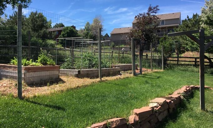 The Pinery Apartment | Super cute 500 ft2 basement apartment. Pet friendly for well behaved pets.